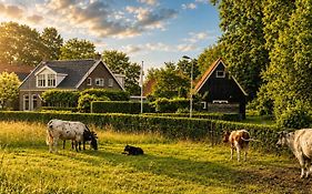 B&B Woudzicht